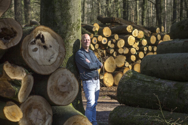 Bouwen in hout is enorm in beweging